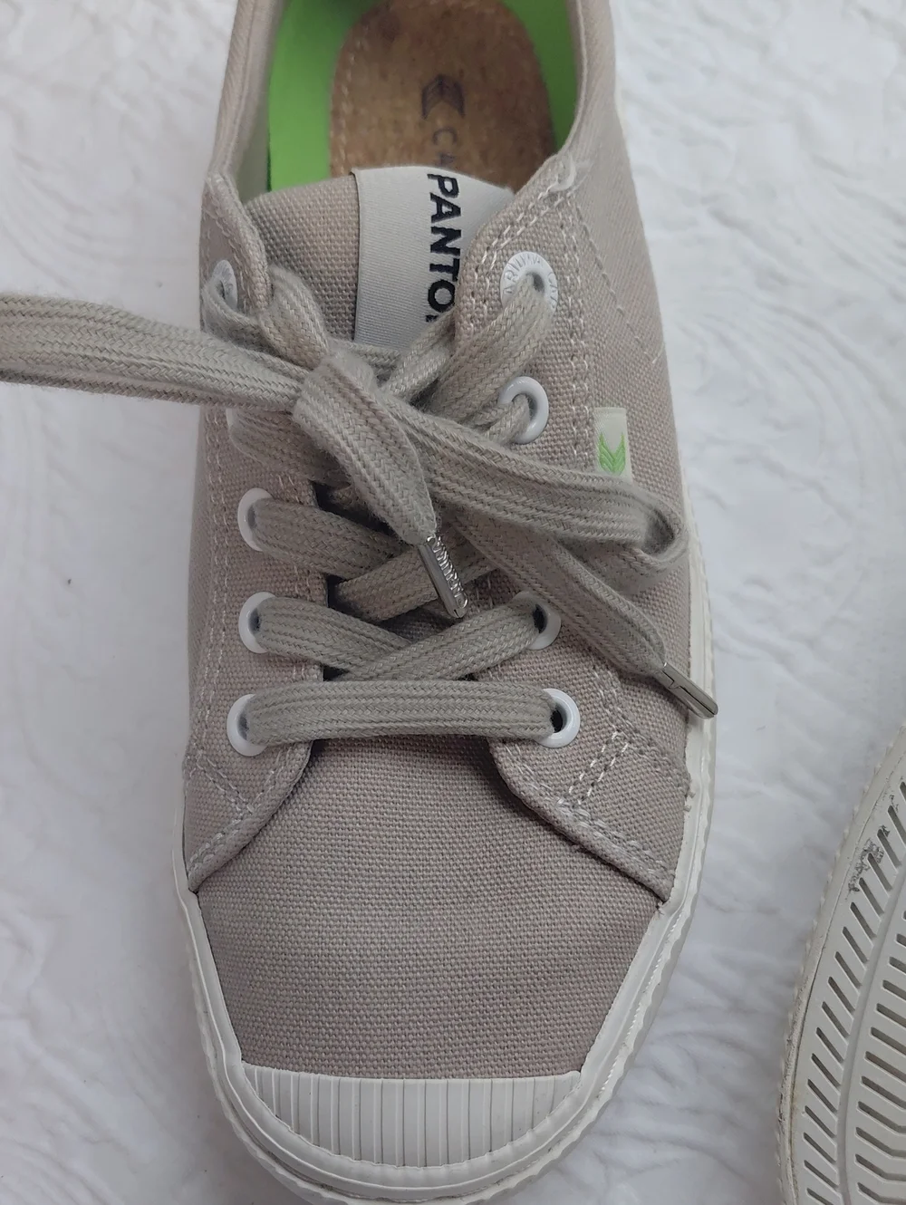 Cariuma pantone canvas
